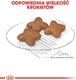 Royal Canin ROYAL CANIN Mini Adult 8kg karma sucha dla psów dorosłych, ras małych + niespodzianka dla psa GRATIS! 8