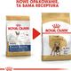 Royal Canin ROYAL CANIN French Bulldog Adult 9kg karma sucha dla psów dorosłych rasy bulldog francuski + niespodzianka dla psa GRATIS! 6