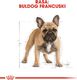 Royal Canin ROYAL CANIN French Bulldog Adult 9kg karma sucha dla psów dorosłych rasy bulldog francuski + niespodzianka dla psa GRATIS! 9