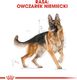 Royal Canin ROYAL CANIN German Shepherd Adult 11kg karma sucha dla psów dorosłych rasy owczarek niemiecki 10