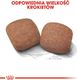 Royal Canin ROYAL CANIN Giant Adult 15kg karma sucha dla psów dorosłych, od 18/24 miesiąca życia, ras olbrzymich + niespodzianka dla psa GRATIS! 10