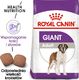 Royal Canin ROYAL CANIN Giant Adult 15kg karma sucha dla psów dorosłych, od 18/24 miesiąca życia, ras olbrzymich + niespodzianka dla psa GRATIS! 1
