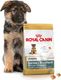 Royal Canin ROYAL CANIN German Shepherd Junior 12kg karma sucha dla szczeniąt do 15 miesiąca, rasy owczarek niemiecki + ROYAL CANIN Educ 10x50g 1