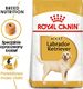 Royal Canin ROYAL CANIN Labrador Retriever Adult 12kg karma sucha dla psów dorosłych rasy labrador retriever + niespodzianka dla psa GRATIS! 2