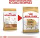 Royal Canin ROYAL CANIN Labrador Retriever Adult 12kg karma sucha dla psów dorosłych rasy labrador retriever + niespodzianka dla psa GRATIS! 5