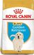 Royal Canin ROYAL CANIN Golden Retriever Puppy 2x12kg karma sucha dla szczeniąt do 15 miesiąca, rasy golden retriever 11