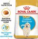 Royal Canin ROYAL CANIN Golden Retriever Puppy 2x12kg karma sucha dla szczeniąt do 15 miesiąca, rasy golden retriever 2