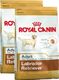 Royal Canin ROYAL CANIN Labrador Retriever Adult 2x12kg karma sucha dla psów dorosłych rasy labrador retriever 2
