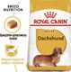 Royal Canin ROYAL CANIN Dachshund 2x7,5kg karma sucha dla psów dorosłych rasy jamnik 1