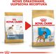 Royal Canin ROYAL CANIN Boxer Puppy 2x12kg karma sucha dla szczeniąt do 15 miesiąca, rasy bokser 3