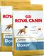 Royal Canin ROYAL CANIN Boxer Puppy 2x12kg karma sucha dla szczeniąt do 15 miesiąca, rasy bokser 5