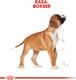Royal Canin ROYAL CANIN Boxer Puppy 2x12kg karma sucha dla szczeniąt do 15 miesiąca, rasy bokser 9