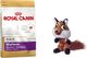 Royal Canin Maltese Adult, karma sucha dla psów dorosłych rasy maltańczyk + Barry King lis pluszowy 1,5 kg 1