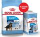 Royal Canin ROYAL CANIN Maxi Puppy 15kg 1