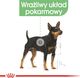 Royal Canin ROYAL CANIN CCN Digestive Care 12x85g karma mokra - pasztet dla psów dorosłych o wrażliwym przewodzie pokarmowym 6