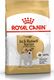 Royal Canin ROYAL CANIN Jack Russell Terrier Adult 7,5kg karma sucha dla psów dorosłych rasy jack russel terrier + niespodzianka dla psa GRATIS! 1