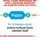Royal Canin ROYAL CANIN Labrador Retriever Puppy 12kg + niespodzianka dla psa GRATIS! 3