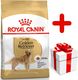 Royal Canin ROYAL CANIN Golden Retriever Adult 12kg karma sucha dla psów dorosłych rasy golden retriever + niespodzianka dla psa GRATIS! 1