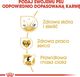 Royal Canin ROYAL CANIN Golden Retriever Adult 12kg karma sucha dla psów dorosłych rasy golden retriever + niespodzianka dla psa GRATIS! 11