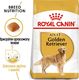 Royal Canin ROYAL CANIN Golden Retriever Adult 12kg karma sucha dla psów dorosłych rasy golden retriever + niespodzianka dla psa GRATIS! 2
