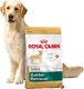 Royal Canin ROYAL CANIN Golden Retriever Adult 12kg karma sucha dla psów dorosłych rasy golden retriever + niespodzianka dla psa GRATIS! 3