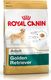 Royal Canin ROYAL CANIN Golden Retriever Adult 12kg karma sucha dla psów dorosłych rasy golden retriever + niespodzianka dla psa GRATIS! 5