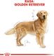 Royal Canin ROYAL CANIN Golden Retriever Adult 12kg karma sucha dla psów dorosłych rasy golden retriever + niespodzianka dla psa GRATIS! 9