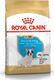 Royal Canin ROYAL CANIN French Bulldog Puppy 10kg karma sucha dla szczeniąt do 12 miesiąca, rasy bulldog francuski + niespodzianka dla psa GRATIS! 3