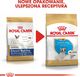 Royal Canin ROYAL CANIN French Bulldog Puppy 10kg karma sucha dla szczeniąt do 12 miesiąca, rasy bulldog francuski + niespodzianka dla psa GRATIS! 4