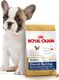 Royal Canin ROYAL CANIN French Bulldog Puppy 10kg karma sucha dla szczeniąt do 12 miesiąca, rasy bulldog francuski + niespodzianka dla psa GRATIS! 5