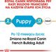 Royal Canin ROYAL CANIN French Bulldog Puppy 10kg karma sucha dla szczeniąt do 12 miesiąca, rasy bulldog francuski + niespodzianka dla psa GRATIS! 7