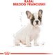 Royal Canin ROYAL CANIN French Bulldog Puppy 10kg karma sucha dla szczeniąt do 12 miesiąca, rasy bulldog francuski + niespodzianka dla psa GRATIS! 10