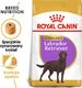 Royal Canin ROYAL CANIN Labrador Retriever Sterilised Adult 12kg + niespodzianka dla psa GRATIS! 2