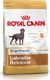 Royal Canin ROYAL CANIN Labrador Retriever Sterilised Adult 12kg + niespodzianka dla psa GRATIS! 5