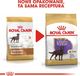 Royal Canin ROYAL CANIN Labrador Retriever Sterilised Adult 12kg + niespodzianka dla psa GRATIS! 6