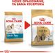 Royal Canin ROYAL CANIN Shih Tzu Adult 7,5kg karma sucha dla psów dorosłych rasy shih tzu + niespodzianka dla psa GRATIS! 9