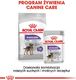 Royal Canin ROYAL CANIN CCN Mini Sterilised 8kg + niespodzianka dla psa GRATIS! 7