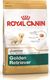 Royal Canin ROYAL CANIN Golden Retriever Puppy 12kg + niespodzianka dla psa GRATIS! 6