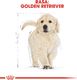 Royal Canin ROYAL CANIN Golden Retriever Puppy 12kg + niespodzianka dla psa GRATIS! 10