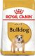Royal Canin ROYAL CANIN Bulldog Adult 12kg karma sucha dla psów dorosłych rasy bulldog + niespodzianka dla psa GRATIS! 2