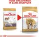 Royal Canin ROYAL CANIN Bulldog Adult 12kg karma sucha dla psów dorosłych rasy bulldog + niespodzianka dla psa GRATIS! 7