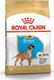 Royal Canin ROYAL CANIN Boxer Puppy 12kg + niespodzianka dla psa GRATIS! 2
