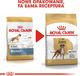 Royal Canin ROYAL CANIN Boxer Puppy 12kg + niespodzianka dla psa GRATIS! 4