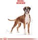 Royal Canin ROYAL CANIN Boxer Puppy 12kg + niespodzianka dla psa GRATIS! 7