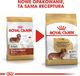 Royal Canin ROYAL CANIN Dachshund 7,5kg karma sucha dla psów dorosłych rasy jamnik + niespodzianka dla psa GRATIS! 3