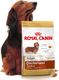 Royal Canin ROYAL CANIN Dachshund 7,5kg karma sucha dla psów dorosłych rasy jamnik + niespodzianka dla psa GRATIS! 5