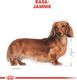 Royal Canin ROYAL CANIN Dachshund 7,5kg karma sucha dla psów dorosłych rasy jamnik + niespodzianka dla psa GRATIS! 7