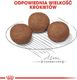 Royal Canin ROYAL CANIN Medium Puppy 15kg karma sucha dla szczeniąt, od 2 do 12 miesiąca, ras średnich + niespodzianka dla psa GRATIS! 5