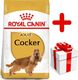 Royal Canin ROYAL CANIN Cocker Spaniel Adult 12kg karma sucha dla psów dorosłych rasy cocker spaniel + niespodzianka dla psa GRATIS! 1