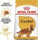 Royal Canin ROYAL CANIN Cocker Spaniel Adult 12kg karma sucha dla psów dorosłych rasy cocker spaniel + niespodzianka dla psa GRATIS! 2